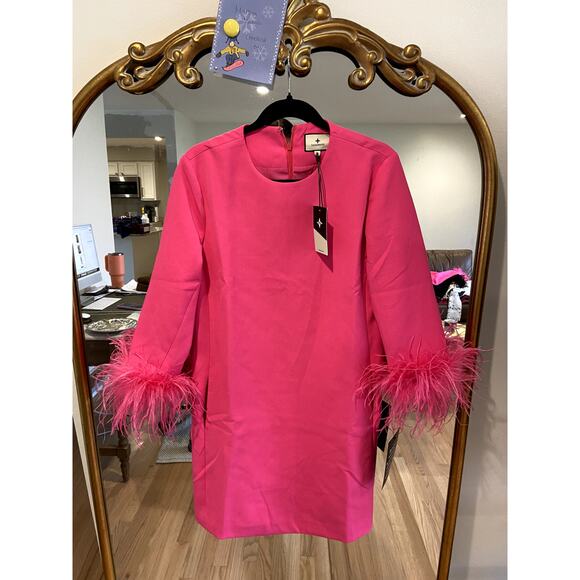 Tuckernuck Hot Pink Feather Mod Mary Dress size L large - Picture 2 of 3